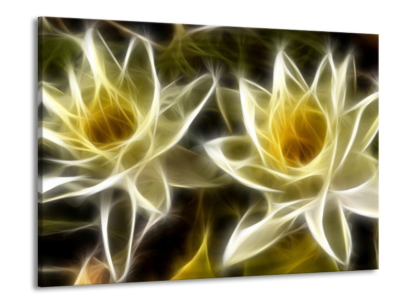 Glas schilderij Bloem | Geel, Wit, Zwart | 100x70cm 1Luik