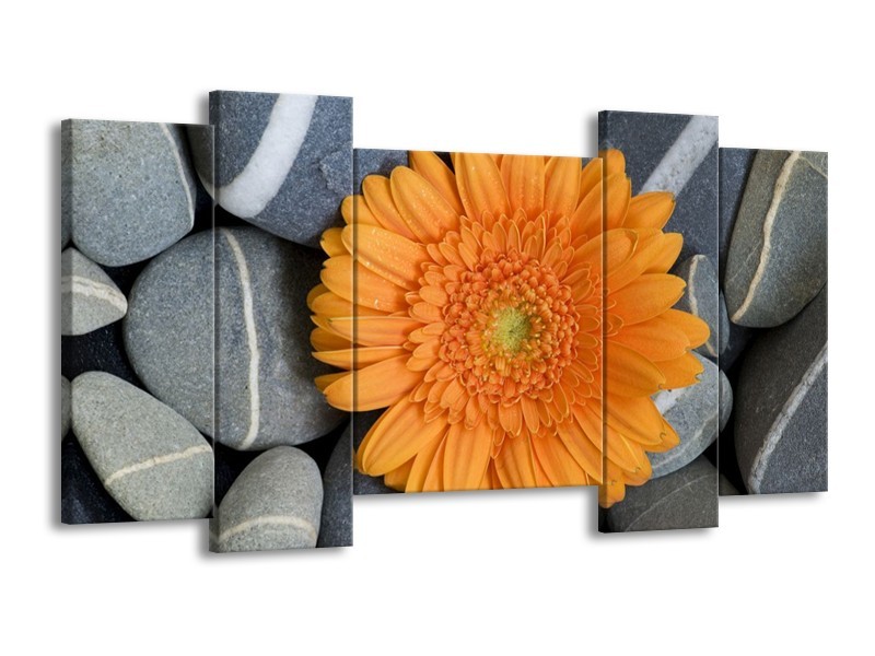 Canvas schilderij Bloem | Oranje, Grijs | 120x65 5Luik