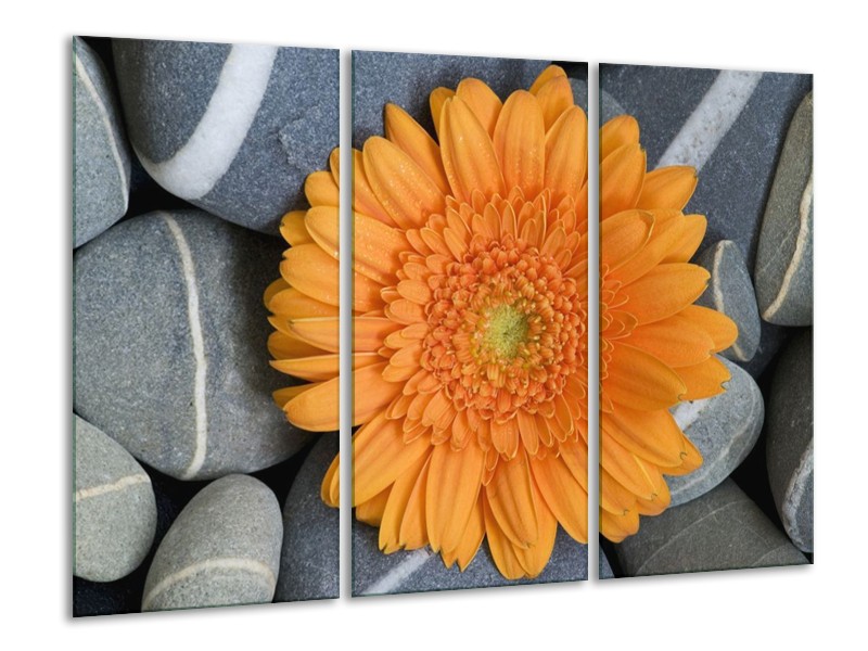Canvas schilderij Bloem | Oranje, Grijs | 120x80cm 3Luik