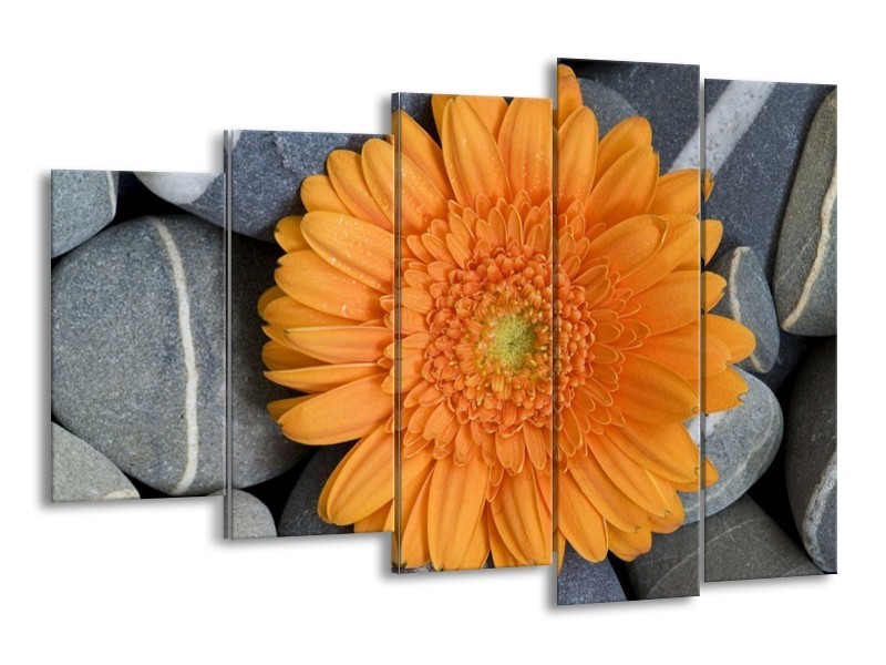 Canvas schilderij Bloem | Oranje, Grijs | 150x100cm 5Luik