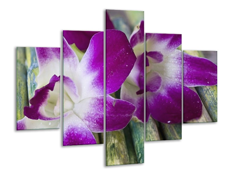 Canvas schilderij Bloem | Paars, Wit | 100x70cm 5Luik