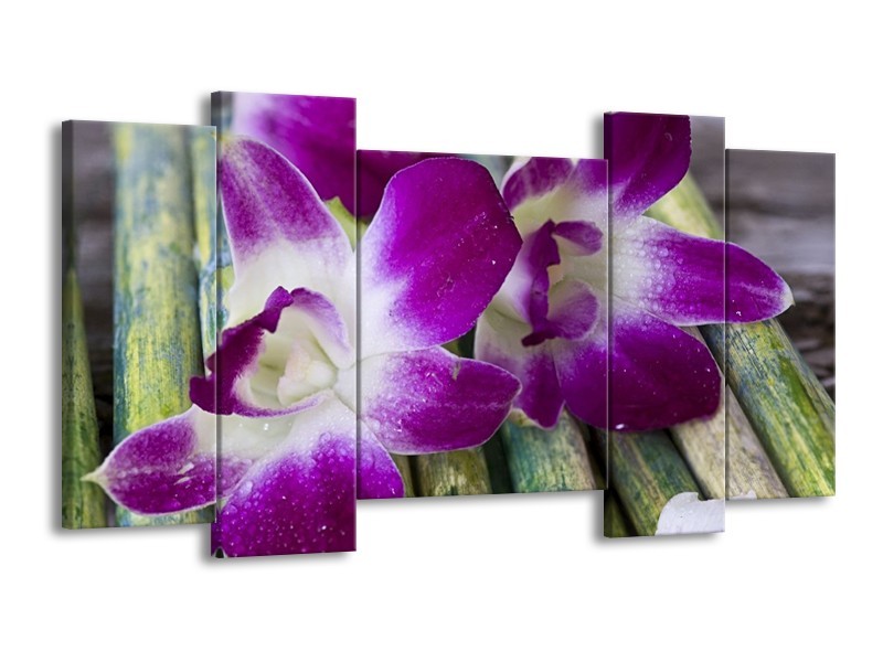 Canvas schilderij Bloem | Paars, Wit | 120x65 5Luik