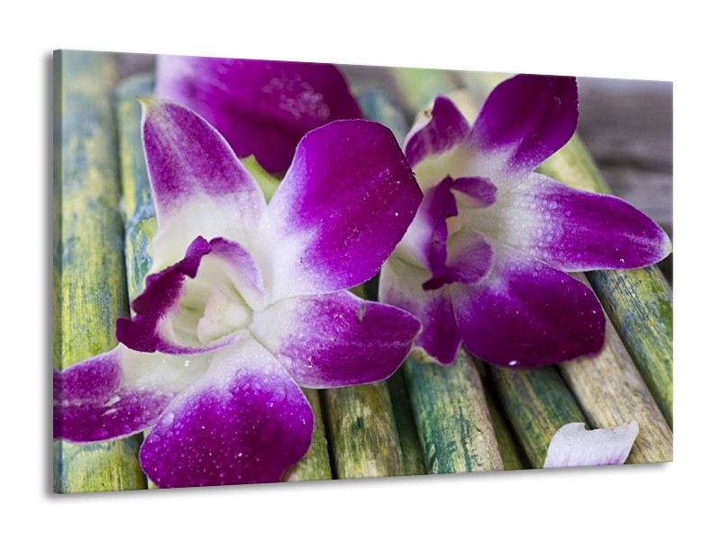 Canvas schilderij Bloem | Paars, Wit | 140x90cm 1Luik