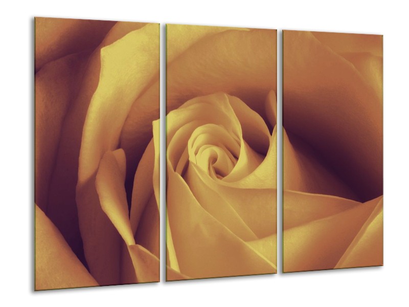 Canvas schilderij Roos | Bruin, Crème | 120x80cm 3Luik