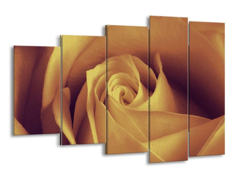 Canvas schilderij Roos | Bruin, Crème | 150x100cm 5Luik
