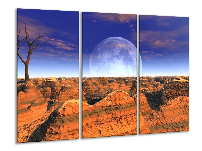 Canvas schilderij Natuur | Bruin, Blauw, Wit | 120x80cm 3Luik