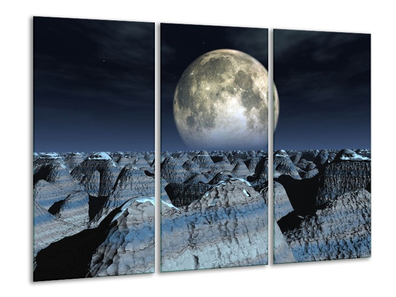 Canvas schilderij Natuur | Wit, Grijs, Zwart | 120x80cm 3Luik