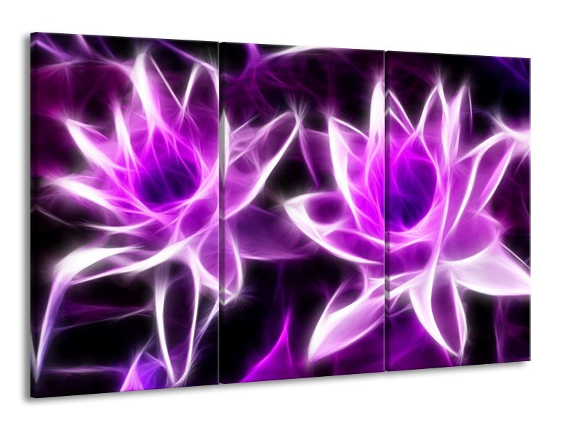 Canvas schilderij Bloemen | Paars, Wit, Zwart | 165x100cm 3Luik