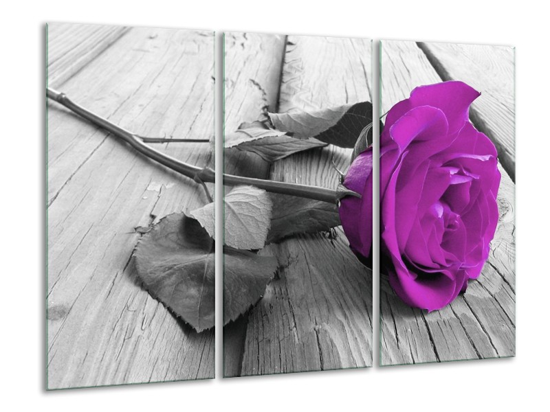 Canvas schilderij Roos | Paars, Grijs | 120x80cm 3Luik