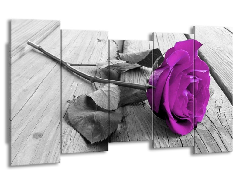 Canvas schilderij Roos | Paars, Grijs | 150x80cm 5Luik