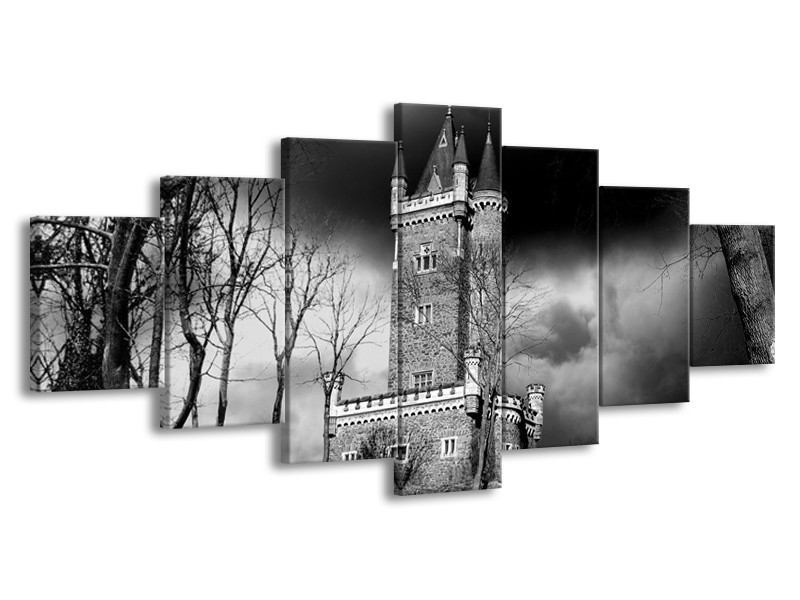 Glas schilderij Kasteel | Grijs, Zwart, Wit | 210x100cm 7Luik