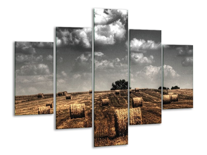 Glas schilderij Natuur | Grijs, Zwart, Oranje | 100x70cm 5Luik