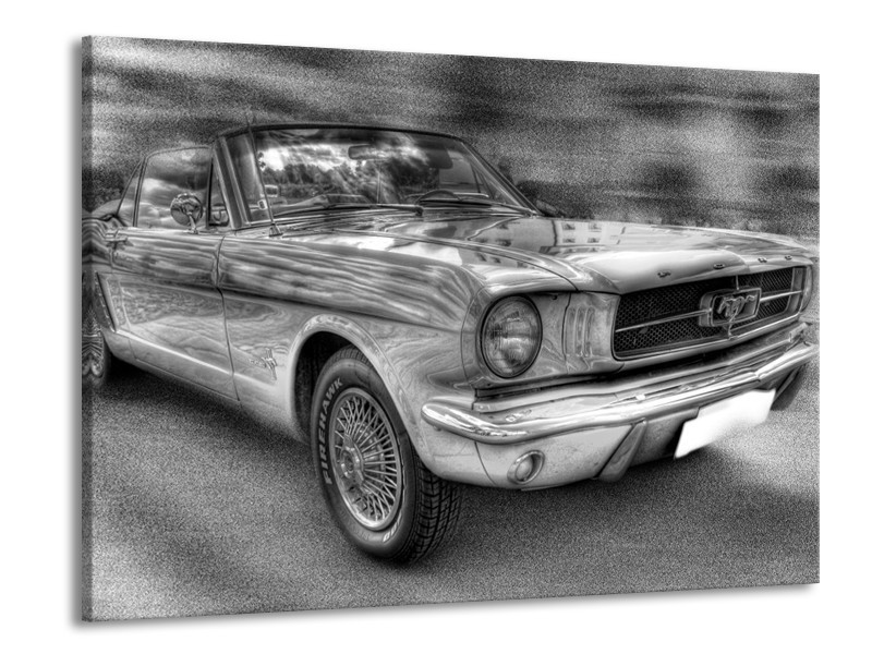 Glas schilderij Mustang | Zwart, Wit, Grijs | 100x70cm 1Luik
