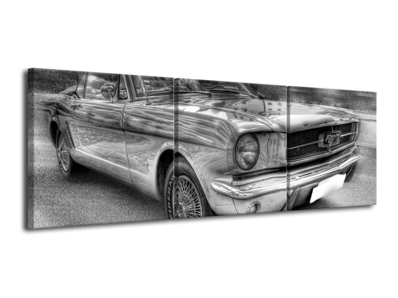 Glas schilderij Mustang | Zwart, Wit, Grijs | 120x40cm 3Luik