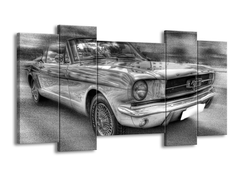 Glas schilderij Mustang | Zwart, Wit, Grijs | 120x65cm 5Luik