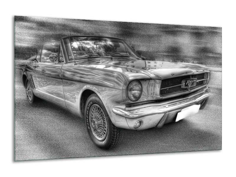 Glas schilderij Mustang | Zwart, Wit, Grijs | 120x70cm 1Luik