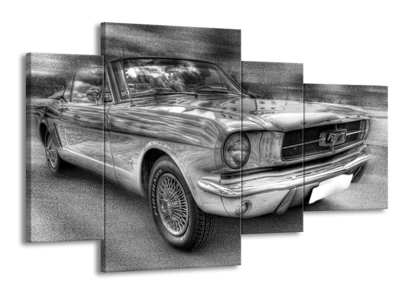Glas schilderij Mustang | Zwart, Wit, Grijs | 120x75cm 4Luik