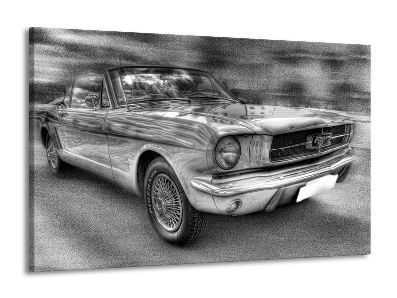 Glas schilderij Mustang | Zwart, Wit, Grijs | 140x90cm 1Luik