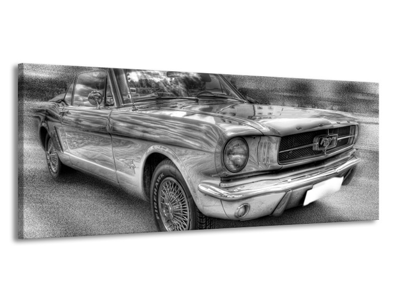 Glas schilderij Mustang | Zwart, Wit, Grijs | 145x58cm 1Luik
