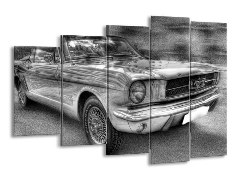 Glas schilderij Mustang | Zwart, Wit, Grijs | 150x100cm 5Luik