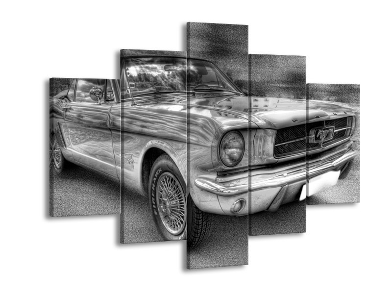 Glas schilderij Mustang | Zwart, Wit, Grijs | 150x105cm 5Luik
