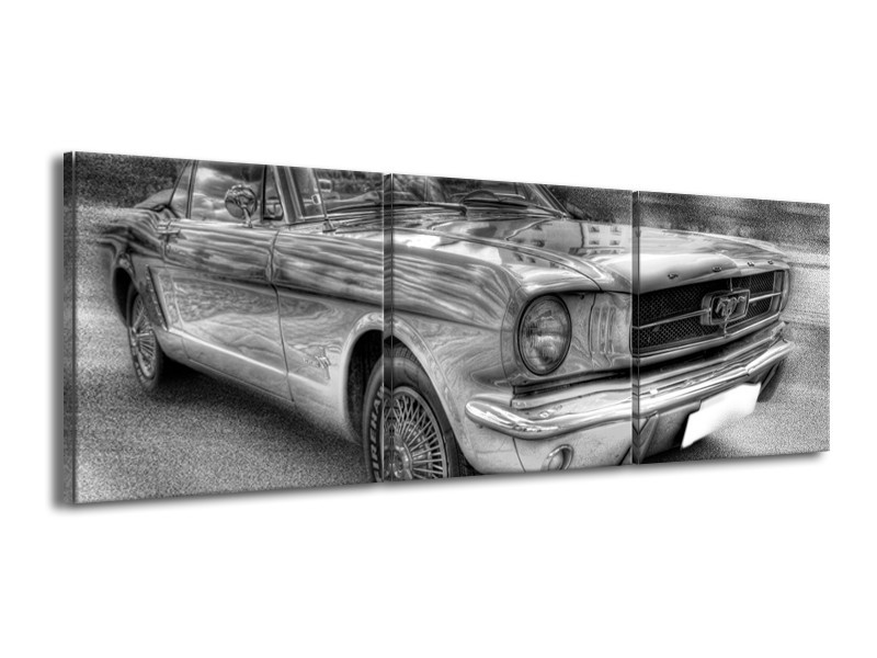 Glas schilderij Mustang | Zwart, Wit, Grijs | 150x50cm 3Luik