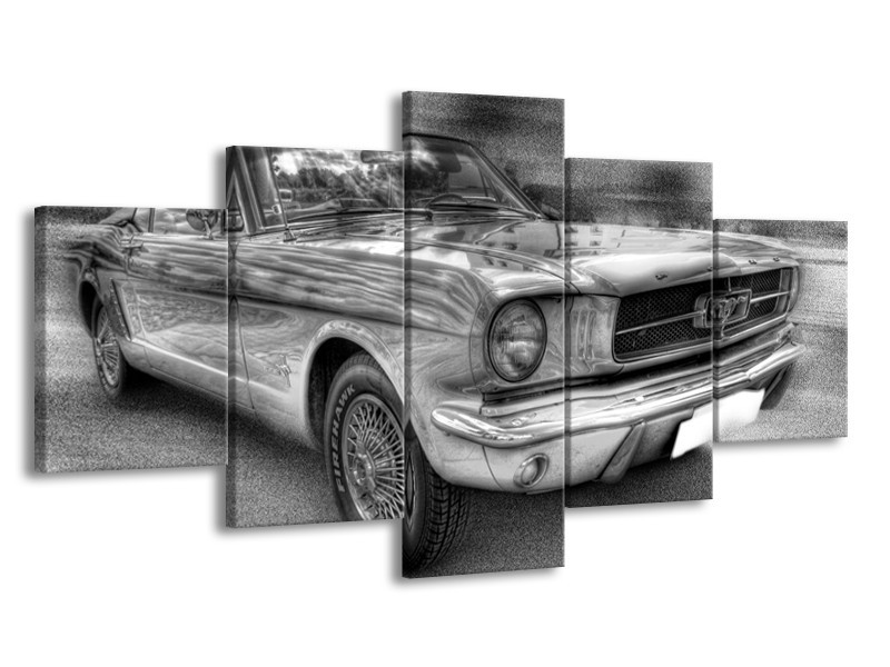 Glas schilderij Mustang | Zwart, Wit, Grijs | 150x80cm 5Luik