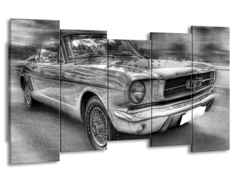 Glas schilderij Mustang | Zwart, Wit, Grijs | 150x80cm 5Luik