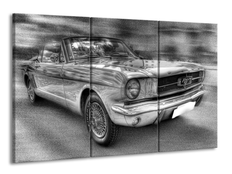 Glas schilderij Mustang | Zwart, Wit, Grijs | 165x100cm 3Luik