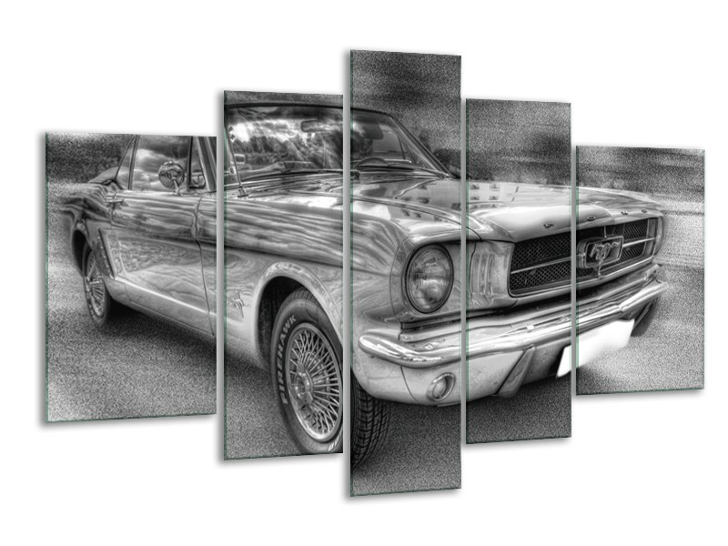 Glas schilderij Mustang | Zwart, Wit, Grijs | 170x100cm 5Luik