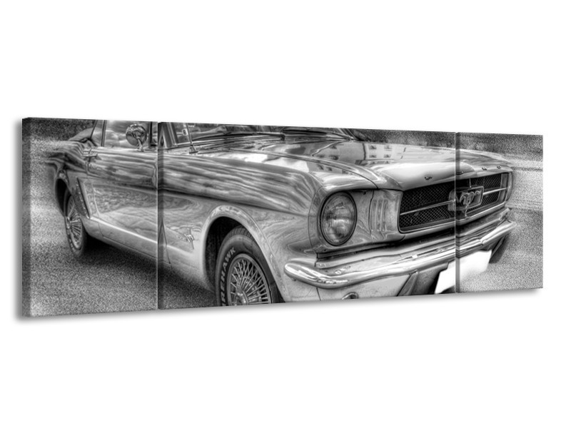 Glas schilderij Mustang | Zwart, Wit, Grijs | 170x50cm 3Luik