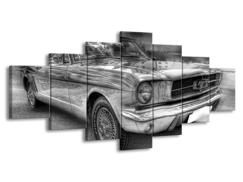 Glas schilderij Mustang | Zwart, Wit, Grijs | 210x100cm 7Luik
