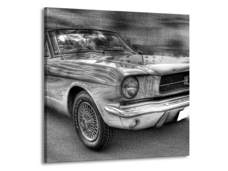 Glas schilderij Mustang | Zwart, Wit, Grijs | 50x50cm 1Luik