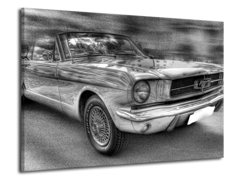 Glas schilderij Mustang | Zwart, Wit, Grijs | 70x50cm 1Luik