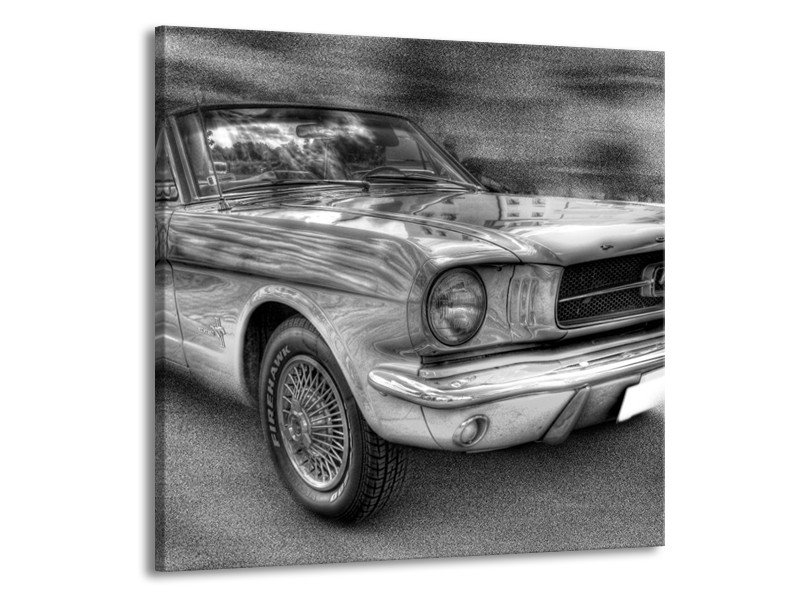 Glas schilderij Mustang | Zwart, Wit, Grijs | 70x70cm 1Luik