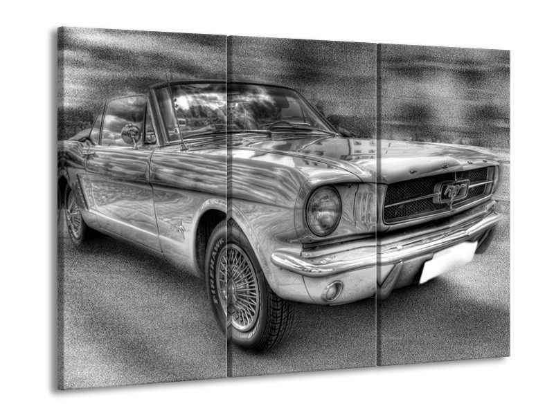 Glas schilderij Mustang | Zwart, Wit, Grijs | 90x60cm 3Luik
