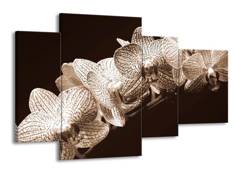 Canvas schilderij Orchidee | Sepia, Bruin | 120x75cm 4Luik