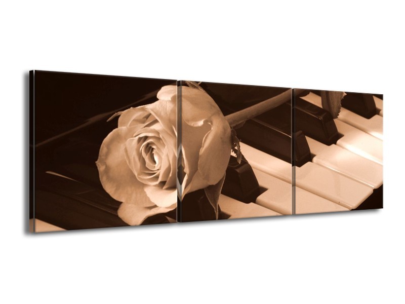 Canvas schilderij Roos | Sepia, Bruin | 150x50cm 3Luik