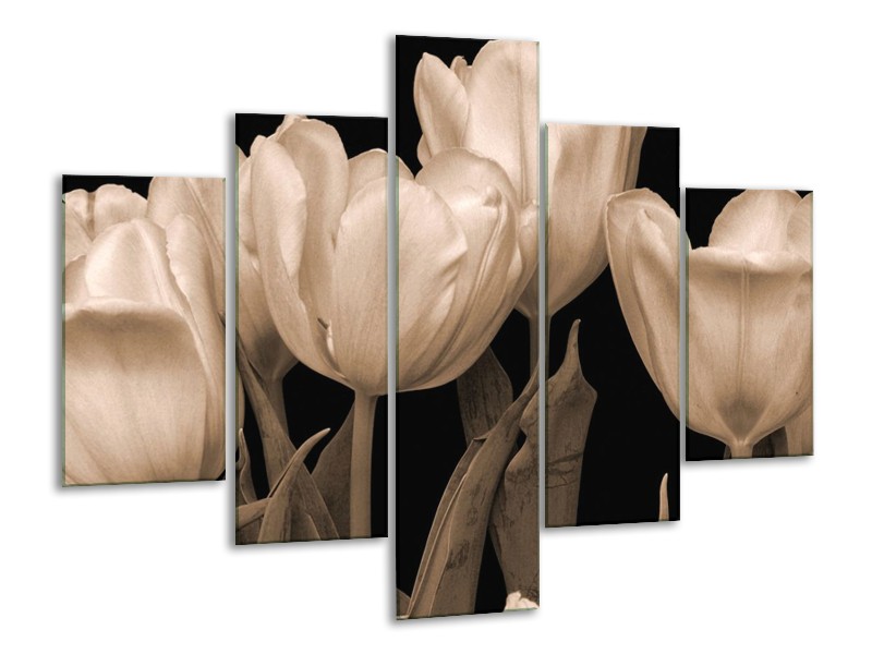 Glas schilderij Tulpen | Sepia, Bruin | 100x70cm 5Luik