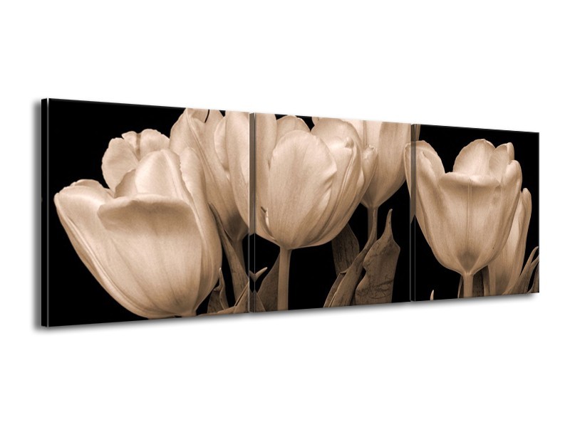 Canvas schilderij Tulpen | Sepia, Bruin | 150x50cm 3Luik