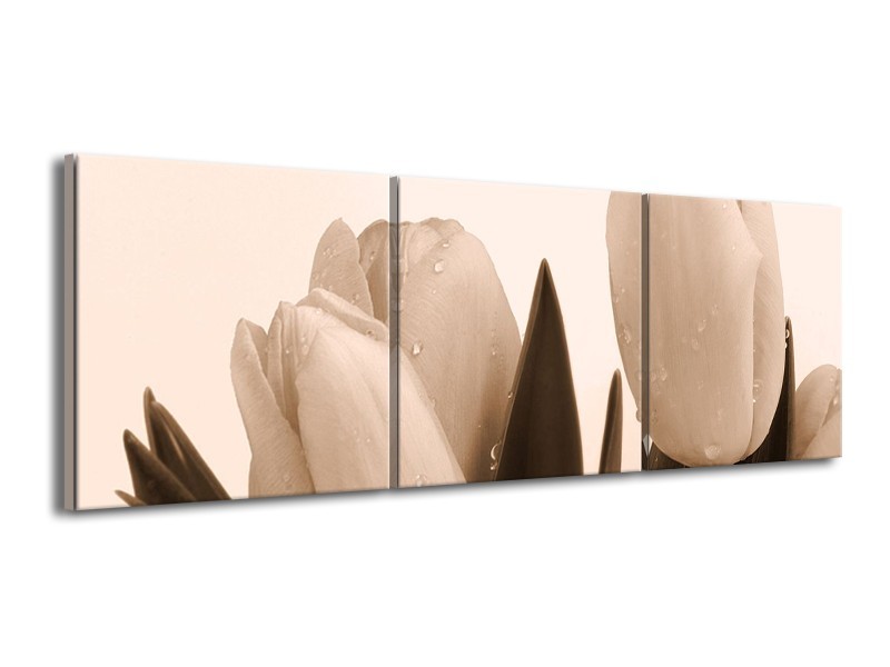 Canvas schilderij Tulpen | Sepia, Bruin | 150x50cm 3Luik
