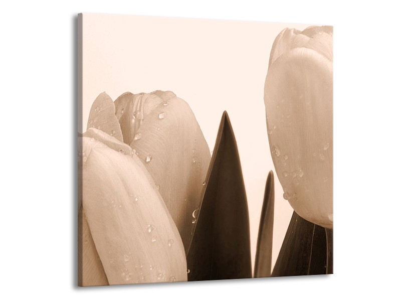 Canvas schilderij Tulpen | Sepia, Bruin | 70x70cm 1Luik