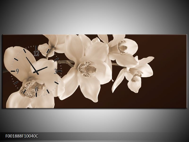 Klok schilderij Orchidee | Sepia, Bruin | 100x40cm 1Luik