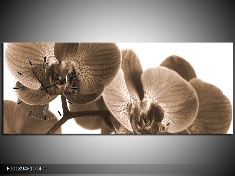 Klok schilderij Orchidee | Sepia | 100x40cm 1Luik