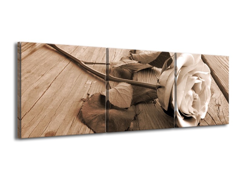 Canvas schilderij Roos | Sepia, Bruin | 150x50cm 3Luik