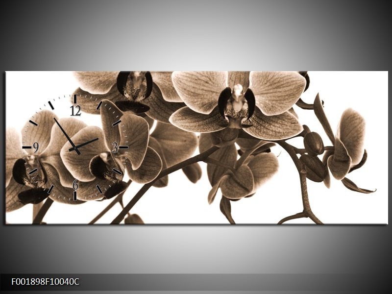 Klok schilderij Orchidee | Sepia, Bruin | 100x40cm 1Luik