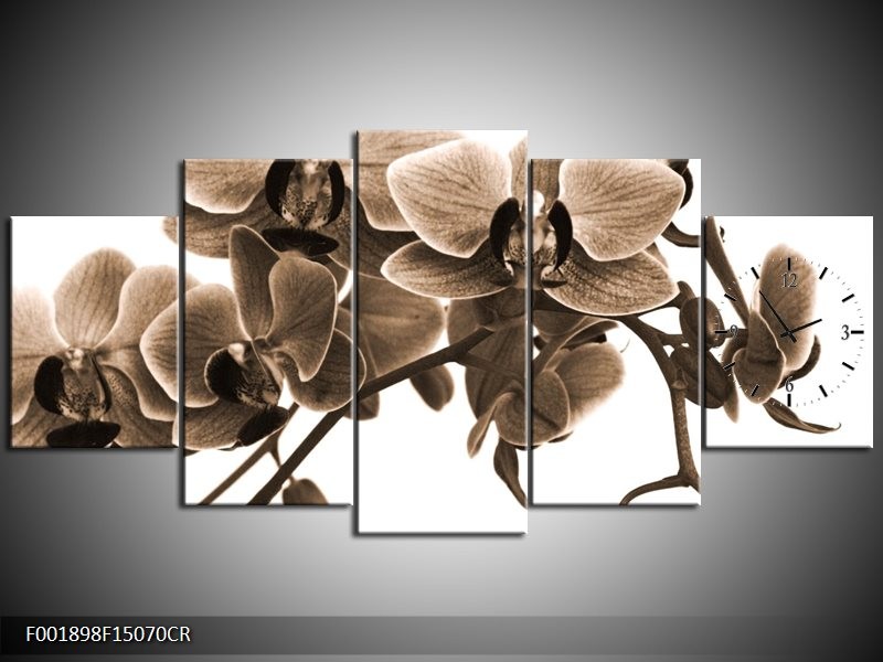 Klok schilderij Orchidee | Sepia, Bruin | 150x70cm 5Luik