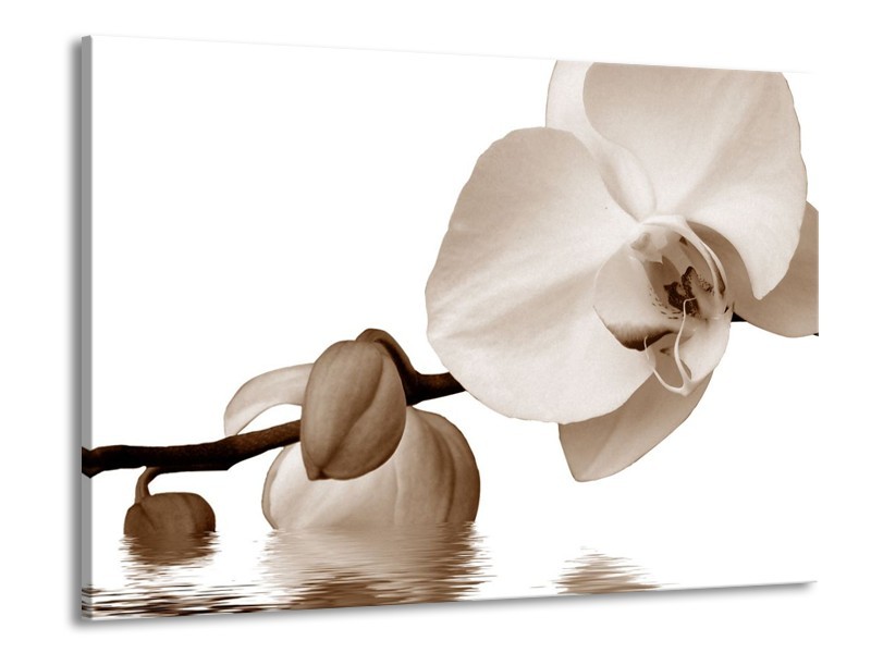 Canvas schilderij Orchidee | Sepia, Bruin | 100x70cm 1Luik
