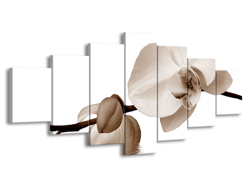 Glas schilderij Orchidee | Sepia, Bruin | 210x100cm 7Luik