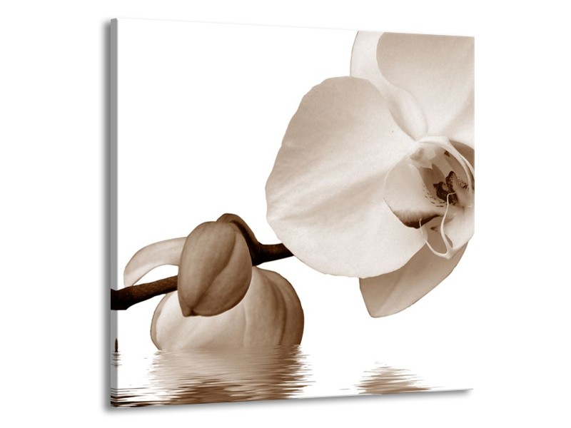 Canvas schilderij Orchidee | Sepia, Bruin | 70x70cm 1Luik